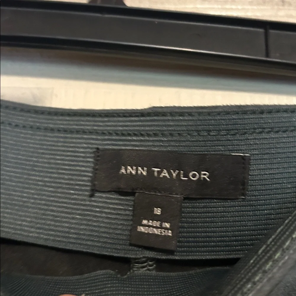 Ann Taylor Green Faux Suede Pants Size 18